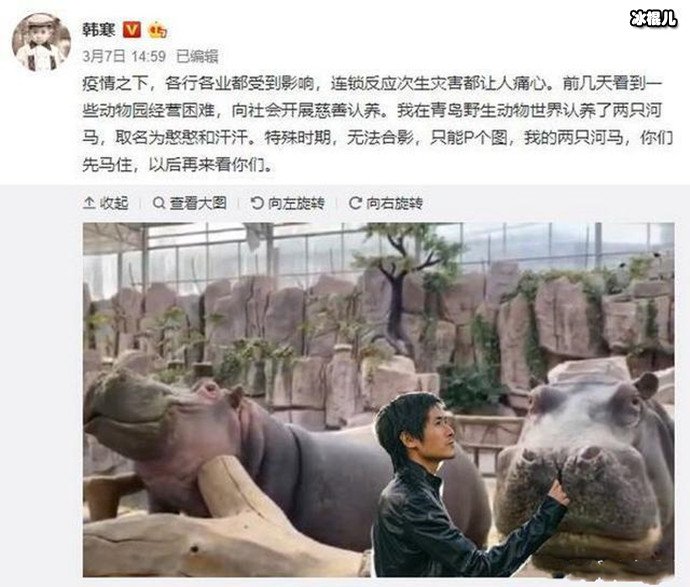 韩寒认养河马是慈善活动