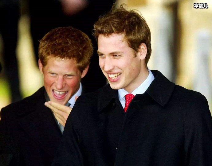 哈里王子和威廉王子小时候