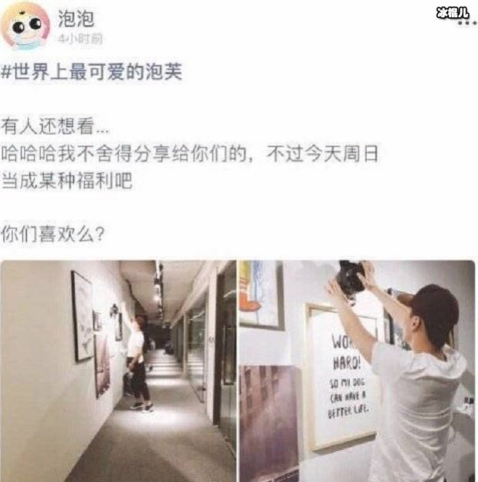 郑爽晒和男朋友的日常