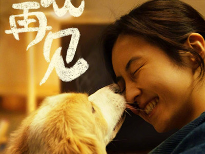 张子枫王景春新片是宠物题材，电影《说再见》讲什么故事？