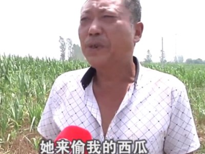 瓜农惨遭偷瓜贼偷瓜，无奈还要倒贴偷瓜贼只能求助记者