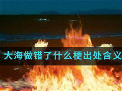 大海做错了什么是什么梗？ 又和明星分手有关