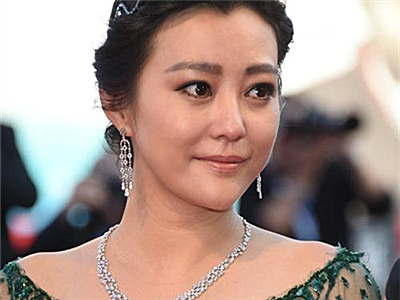 郝蕾双胞胎儿子的爸爸是谁？ 两结两离感情坎坷