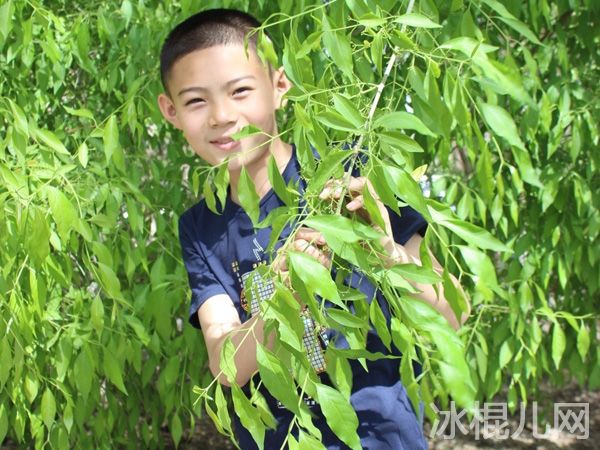 释小松个人资料简介微博生活近照 释小松离开少林寺了吗揭秘