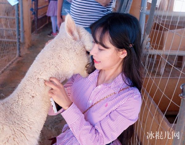 一站到底李春晓个人资料年龄身高简历 女博士李春晓微博生活照片