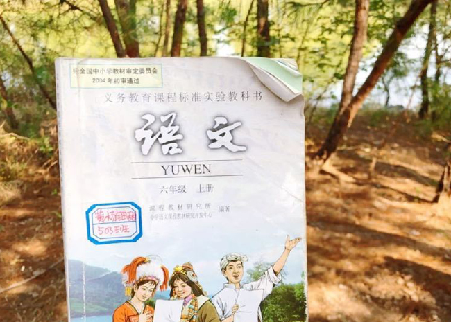 黄杨钿甜成绩好吗 现如今黄杨钿甜在哪个学校上学揭秘