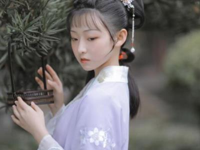 野史讲的是什么故事 历史有记载徐婉和宁子世故事吗