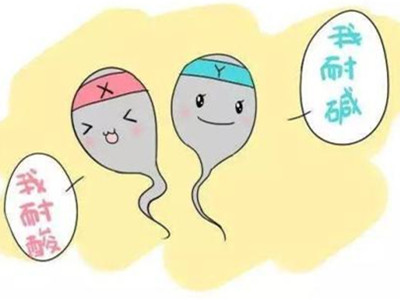 精子美容这是个遥远！谣言止于智者不要再被误导了！