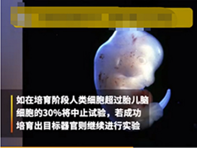 日本竟然批准人兽杂交胚胎实验 日本政府批准人兽杂交目的