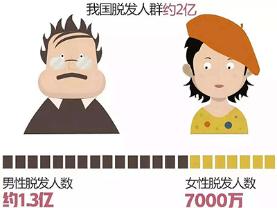 我国“秃”如其来的脱发危机 脱发人群已超2.5亿植发行业火了