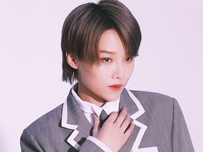 歌手vocal是擅长掌握各种音乐技巧的歌手？男团女团都有vocal？