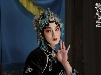 电视剧《鬓边不是海棠红结局》结局惹争议！