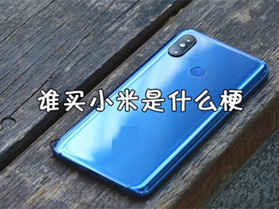 谁他妈买小米什么梗？ 这是怎么火起来的