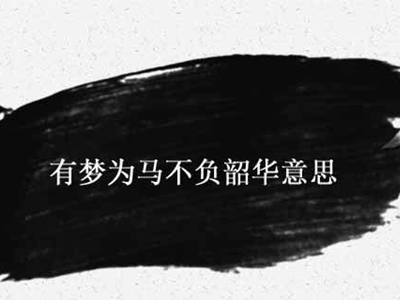 以梦为马不负韶华是什么意思？这句话出自哪里？