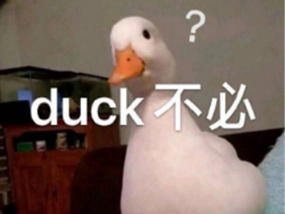 duck不必是什么梗呢？这个词有什么意思？