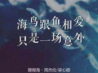 周杰伦歌曲大赏，歌词为“海鸟和鱼相爱”歌名是什么？