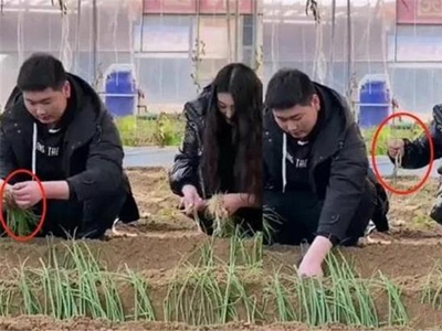 大衣哥儿媳种葱被批作秀, 被爆未到法定年龄就结婚