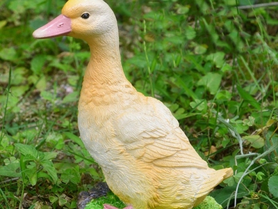 网梗“duck不必”的意思是什么？是从哪里流传出来的？