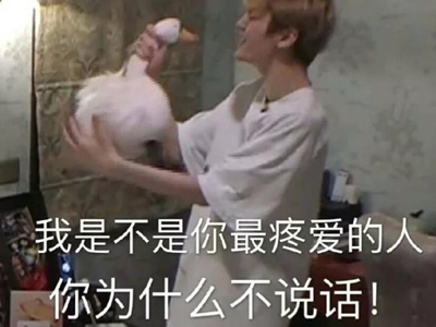 经典歌曲起底，歌词“我是不是你最疼爱的人”歌名是什么？