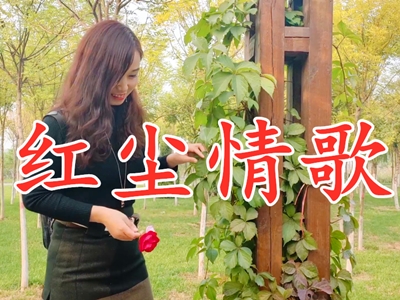 歌词“轰烈烈的曾经相爱过”歌名是什么？原唱是谁？
