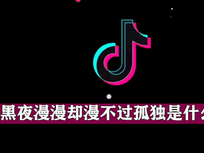 盘点抖音神曲，其中歌词为“黑夜漫漫却漫不过孤独” 是什么歌？