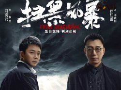 扫黑风暴回应抄袭? 是甩锅还是真的不知情